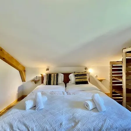 Le Petit Loup, Neuf Avec Jardin Appartement