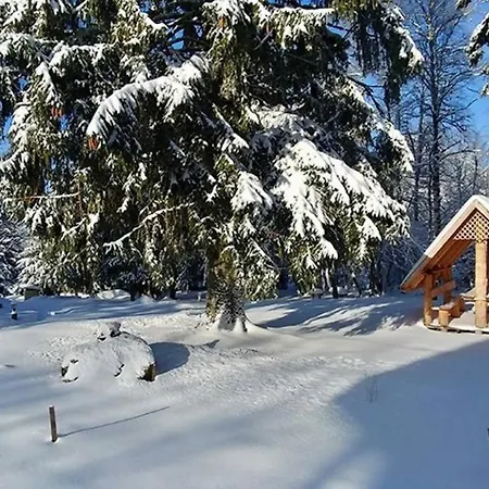 Le Petit Loup, Neuf Avec Jardin Apartment Gerbepal